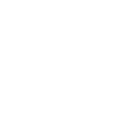 logo White No Text